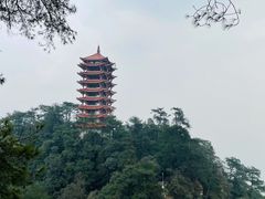 -缙云山景区