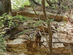 -苏州上方山国家森林公园