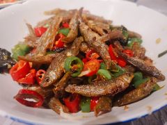 -壹盏灯(惠农店)