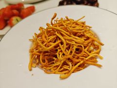 虫草花-鑫港胜牛氏辈养生火锅(经开店)