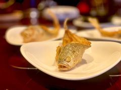 -万豪中餐厅·粤菜·北京粤财JW万豪酒店
