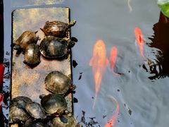 -狼山风景名胜区