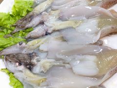 带籽笔管-东镇老火锅(长春路首店)