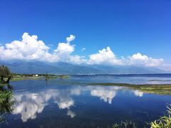 -瑞丰园庭院餐厅·白族传统家常菜