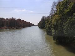 -上海海湾国家森林公园