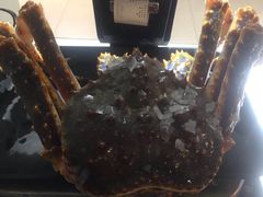 帝王蟹-盒马鲜生(顺义店)