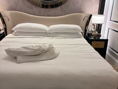 -澳门威尼斯人综合度假区