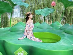 -清河半岛温泉度假酒店