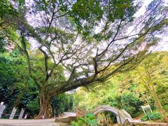 -广州市石门国家森林公园