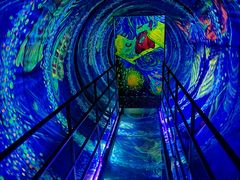 -上海梵高星空艺术馆(南京路旗舰店)