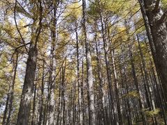 -驼梁风景区