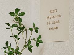 -COMMUNE幻师(天品西岸店)