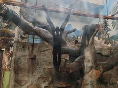 -石家庄市动物园