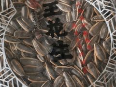 -琦王花生(南浦大桥沃尔玛店)