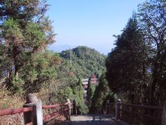 -江西阳明山国家森林公园