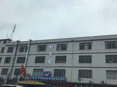 -蚝专家(北滘店)