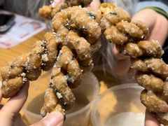 -海丝金凤(金鱼店)
