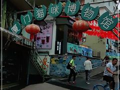 -猫咪博物馆(顶澳仔猫街店)