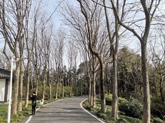 -宜兴龙背山森林公园