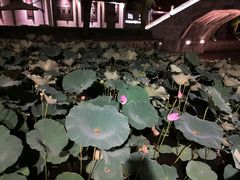 -星巴克(绍兴柯桥柯岩景区店)