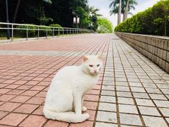 -笋爷高汤嗦螺粉·螺蛳粉(上社店)