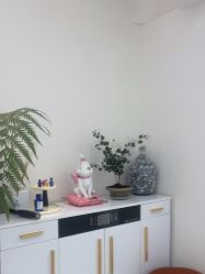 -WENDY·温迪皮肤管理