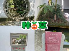-杭州植物园