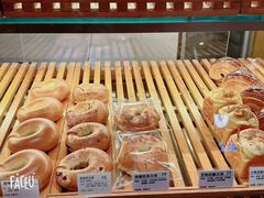 -WHEN PIGS FLY当猪飞