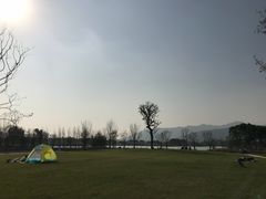 -长田漾湿地公园