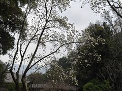 -团城山公园