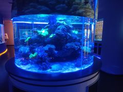 -上和臻品中国菜(花园街店)