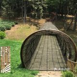 安吉蔓塘里自然村~夜幕璀璨灯火秀,夏天一起来这里露营🏕️吧!