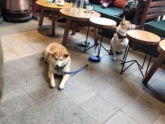 -Moka Bros 摩卡站(嘉华店)
