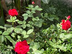 -大妙火锅·非物质文化遗产(东湖公园店)