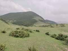 景点-大姆山草场
