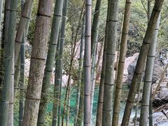 -黄山翡翠谷景区