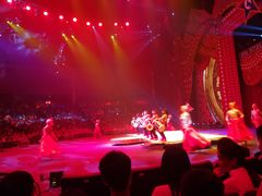 -珠海横琴长隆《卡卡虎奇遇记》