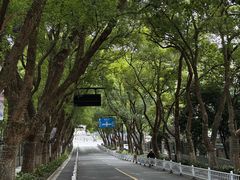 -杭州半山国家森林公园