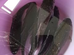 -顺兴老茶馆·精品川菜(世纪城店)