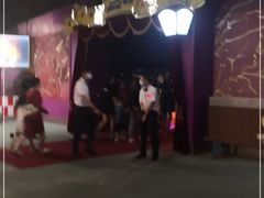 -广州长隆国际大马戏