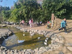 -HERRE·FARM 赫尔露营农场·团建聚会包场