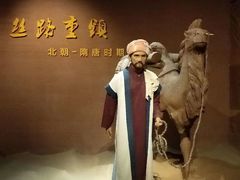 -宁夏博物馆