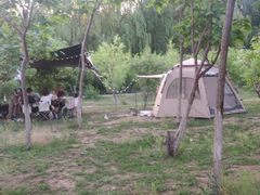 -丁香湖公园