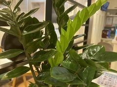 -葡珍轩冰室(虹桥机场T1店)
