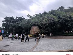 -野狸岛