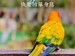 -上海野生动物园