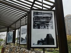 -府河摄影公园