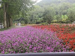 -青城山