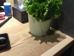 -本家·小顽牛自助烤肉(金润路店)