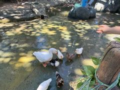 -欢乐水魔方水世界